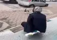 Sokak kedisinin yüzüne yağ çözücü sprey sıkan kadın serbest bırakıldı