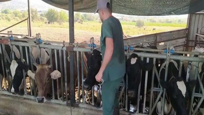 Aydın’da 17 mahalle karantinaya alındı: Hayvan giriş çıkışı yasaklandı! haberinin görseli