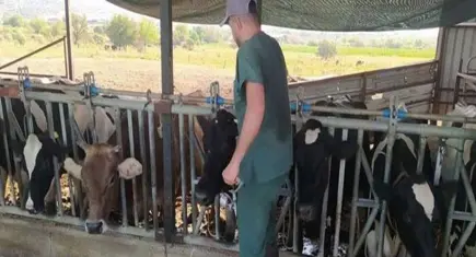 Aydın’da 17 mahalle karantinaya alındı: Hayvan giriş çıkışı yasaklandı!
