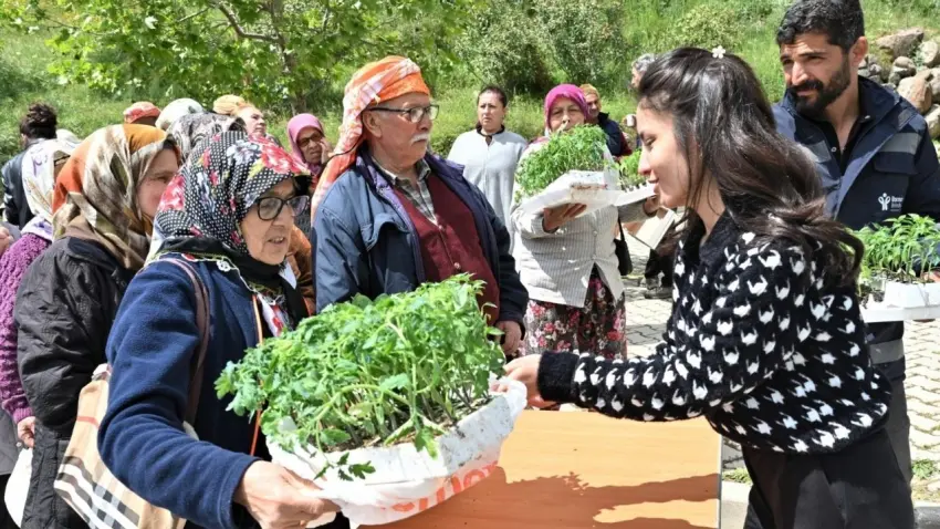 Bornova’da kırsal mahallelere yazlık sebze fidesi desteği haberinin görseli