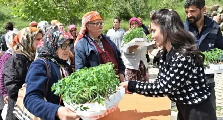 Bornova’da kırsal mahallelere yazlık sebze fidesi desteği