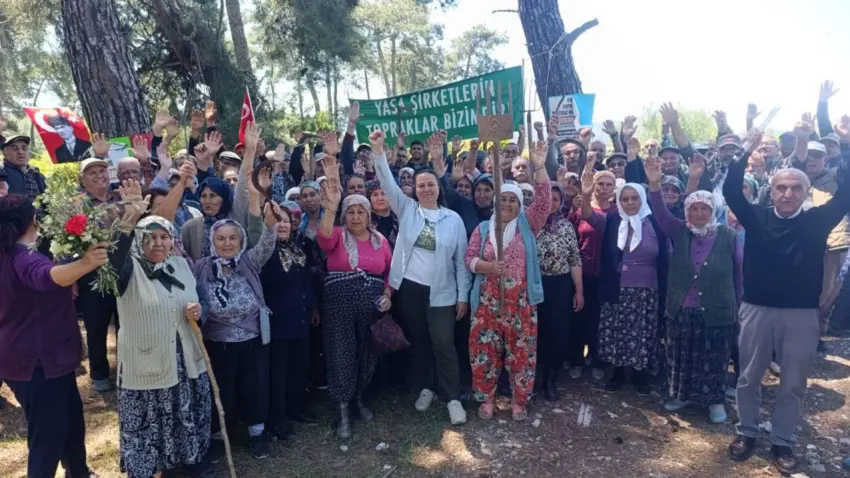 Danıştay’dan Akbelen kararı: Acele kamulaştırmanın yürütmesi durduruldu haberinin görseli