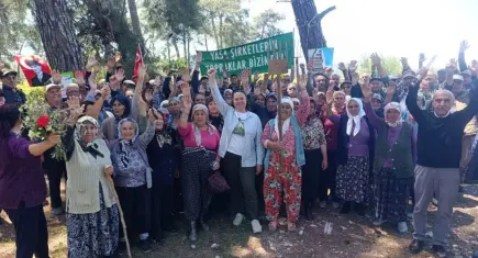 Danıştay’dan Akbelen kararı: Acele kamulaştırmanın yürütmesi durduruldu
