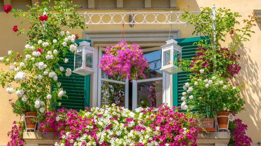 Gaziemir’de “En Güzel Bahçe, Balkon ve Teras” yarışması başlıyor haberinin görseli