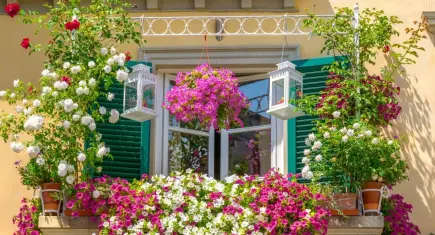 Gaziemir’de “En Güzel Bahçe, Balkon ve Teras” yarışması başlıyor