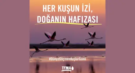 TEMA Vakfı’ndan Dünya Göçmen Kuşlar Günü çağrısı