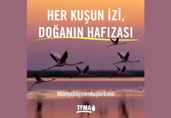 TEMA Vakfı’ndan Dünya Göçmen Kuşlar Günü çağrısı