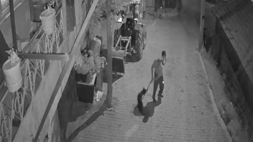 Köpeği demir çubukla öldüren şüpheli tutuklandı haberinin görseli