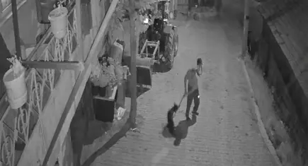 Köpeği demir çubukla öldüren şüpheli tutuklandı