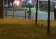 Büyükçekmece’de parkta kanlı kavga: 1 ölü, 1 yaralı