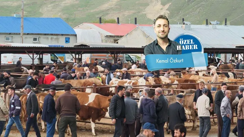 İzmir’de kurban pazarı el yakıyor haberinin görseli