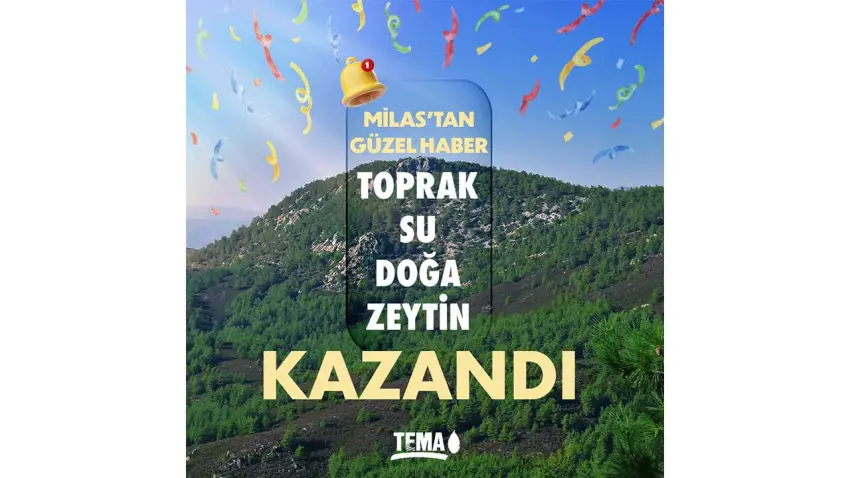 tema