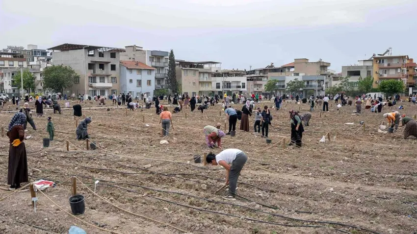 Avrupa’dan Bornova’nın kent bostanlarına ziyaret haberinin görseli