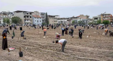 Avrupa’dan Bornova’nın kent bostanlarına ziyaret