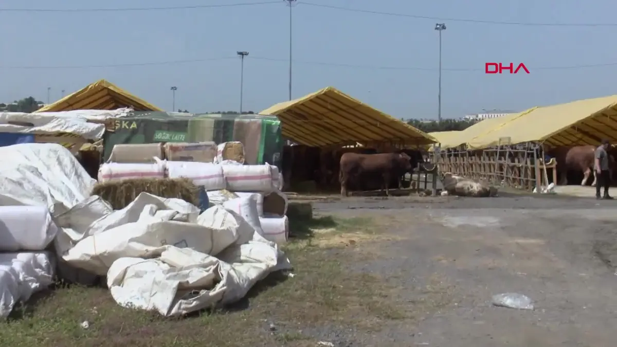 Bahçelievler kurban pazarında sıkı pazarlık görseli