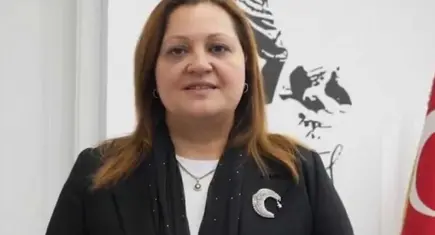 Burcu Köksal’ı eleştiren karikatüre "Cumhurbaşkanına Hakaret" soruşturması