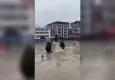 Samsun’da sağanak sele dönüştü