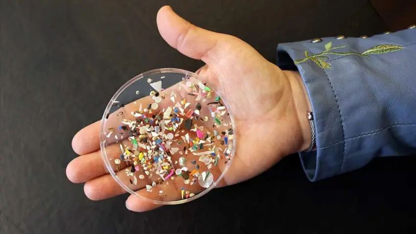 Uzm. Dr. Dağıstan Ayan’dan mikroplastik uyarısı haberinin görseli