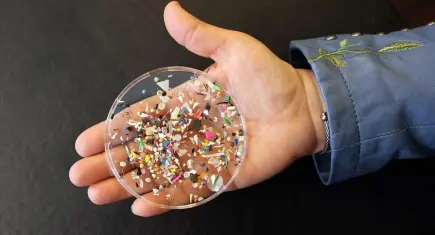 Uzm. Dr. Dağıstan Ayan’dan mikroplastik uyarısı