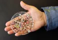Uzm. Dr. Dağıstan Ayan’dan mikroplastik uyarısı