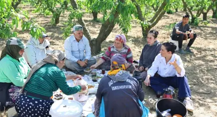 Başkan Sengel, şeftali üreticileriyle tarlada buluştu