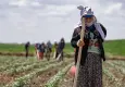 Çiftçi-Sen’den 14 Mayıs tepkisi: “Şirketlerin günü çiftçinin günü olamaz”