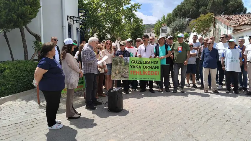 Güzelbahçe’de Yaka Ormanı tepkisi: Asırlık çamlar rant uğruna yok ediliyor haberinin görseli