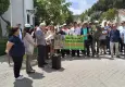 Güzelbahçe’de Yaka Ormanı tepkisi: Asırlık çamlar rant uğruna yok ediliyor