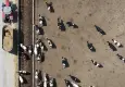 Kadın girişimci teknolojiyle kurduğu çiftliği büyüttü
