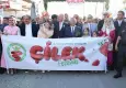 16. Uluslararası Emiralem Çilek Festivali’ne coşkulu açılış