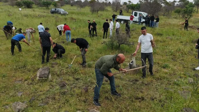 Aliağa’da yangından etkilenen alanlara fıstık çamları dikildi haberinin görseli