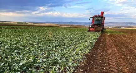 Çiftçilere ilk çeyrekte 35 milyar TL’nin üzerinde ödeme