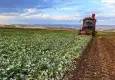 Çiftçilere ilk çeyrekte 35 milyar TL’nin üzerinde ödeme