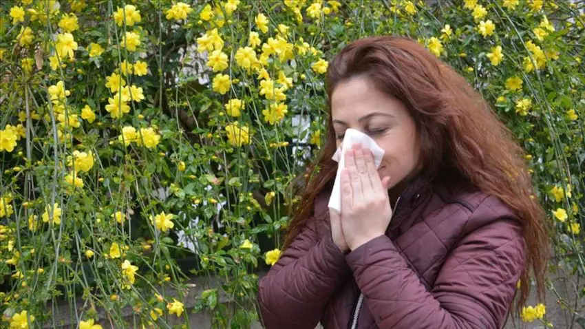 Bahar alerjisi sadece ilkbaharla sınırlı değil haberinin görseli