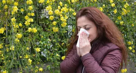 Bahar alerjisi sadece ilkbaharla sınırlı değil