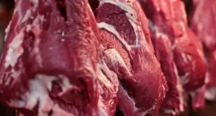 Dana etinde tablo değişmedi, kuzu 600 lira bandını aştı