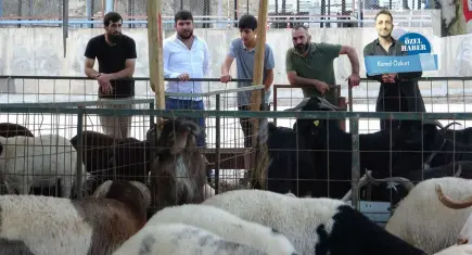 Vatandaş büyükbaşa yaklaşamıyor