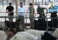 Vatandaş büyükbaşa yaklaşamıyor