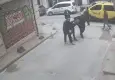 Kaldırımda yürürken başına cam düştü, 7 dikiş atıldı