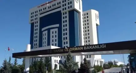 Bakanlıktan son nokta: Türkiye'de yapay et söz konusu değildir ve olmayacaktır