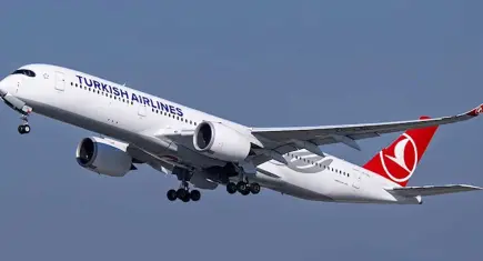 THY’den İsrail’e tahliye seferi: Alıkonulan aktivistler Türkiye’ye getiriliyor
