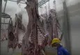 İzmir’de Kurban Bayramı hazırlıkları tamamlandı