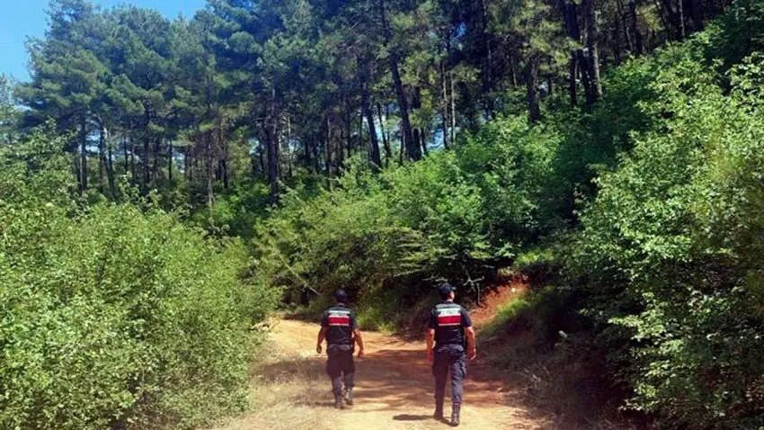 Muğla’da ormanlara girişler yasaklandı haberinin görseli