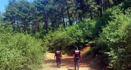 Muğla’da ormanlara girişler yasaklandı