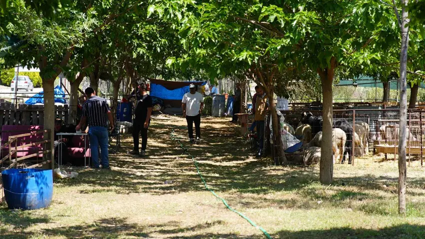 Seferihisar Belediyesi’nden Kurban Bayramı’nda dayanışma çağrısı haberinin görseli