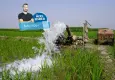 Çiftçi rehavete kapılmamalı