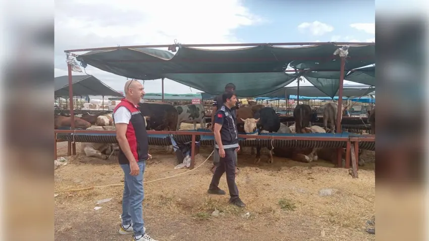 Çiğli’de bayram öncesi kurban alanlarında sıkı denetim haberinin görseli