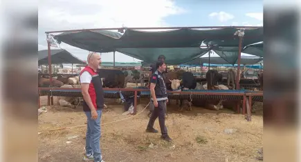 Çiğli’de bayram öncesi kurban alanlarında sıkı denetim