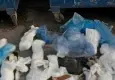 İzmir’de 33 kedinin ölü bulunduğu olayda veteriner tutuklandı