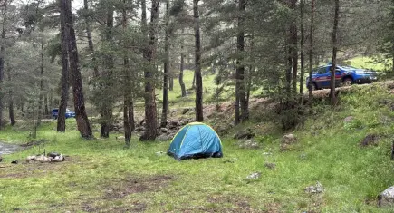 Ormanlık alana yıldırım düştü: Piknik yapan 3 kişi yaralandı